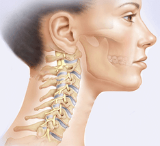 Representation of the cervical spine